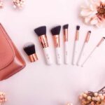 she iss travel set make up borstels